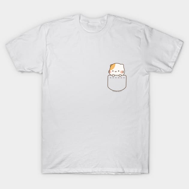 Roblox t shirt cat store